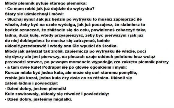 Plemnik