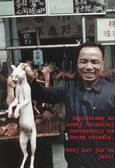 Chi?szczyzna