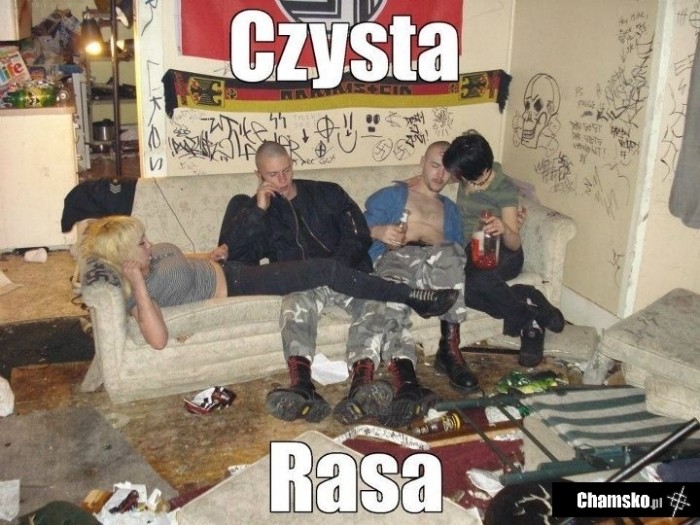 Czysta rasa