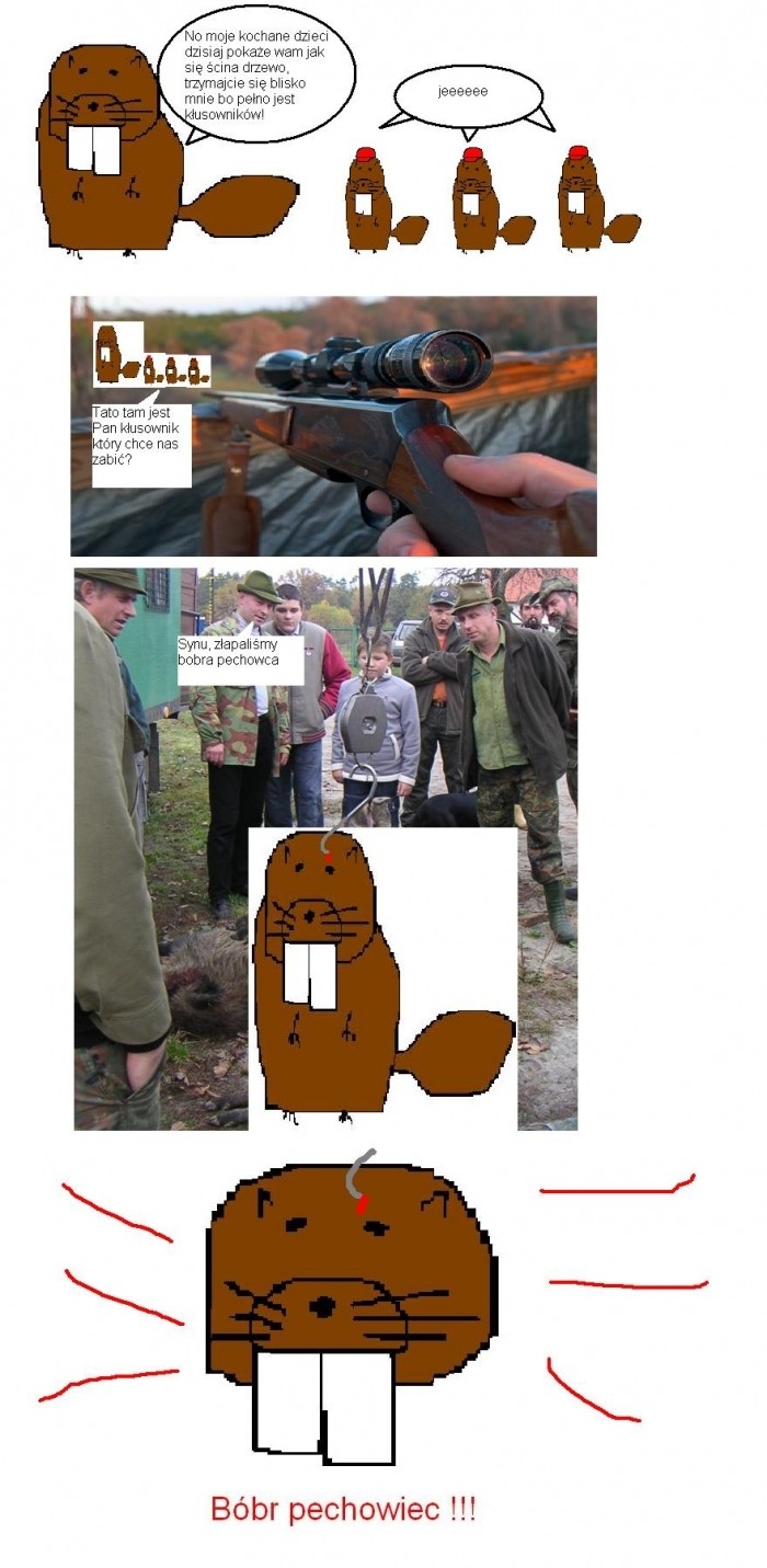Bóbr pechowiec