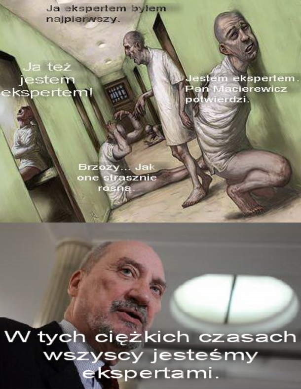 Eksperci
