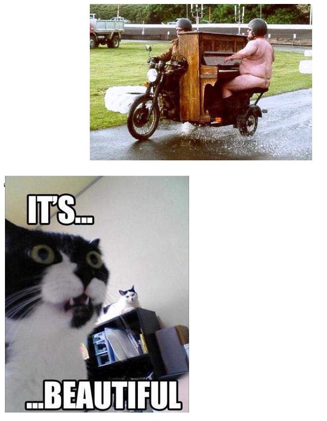 sddssdksj 32 dsksdkd!!