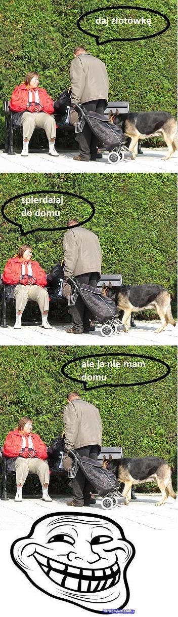 daj zeta historia prawdziwa