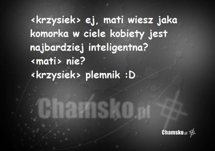 IQ kobiety
