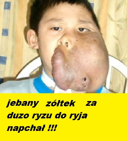 żółtek