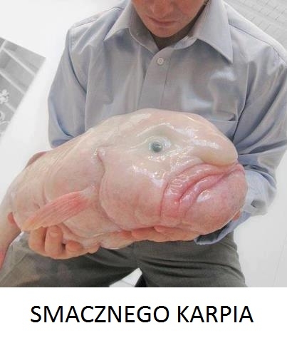 Smacznego karpia