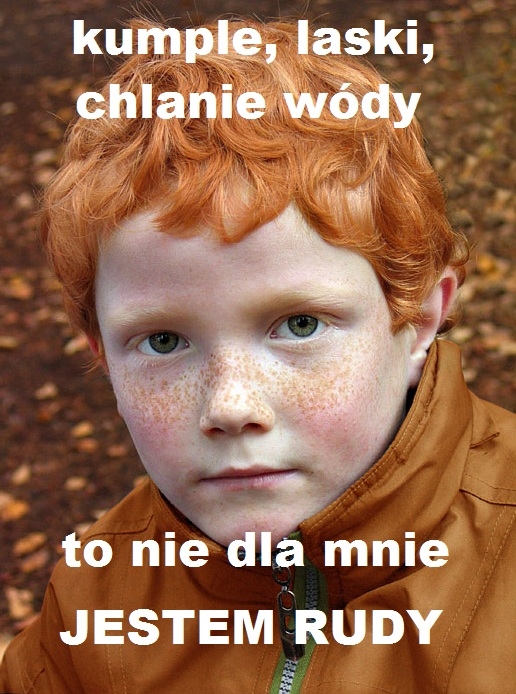 RUDY