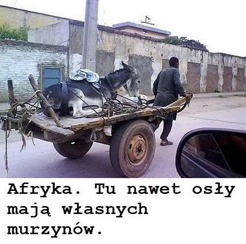 Afryka...