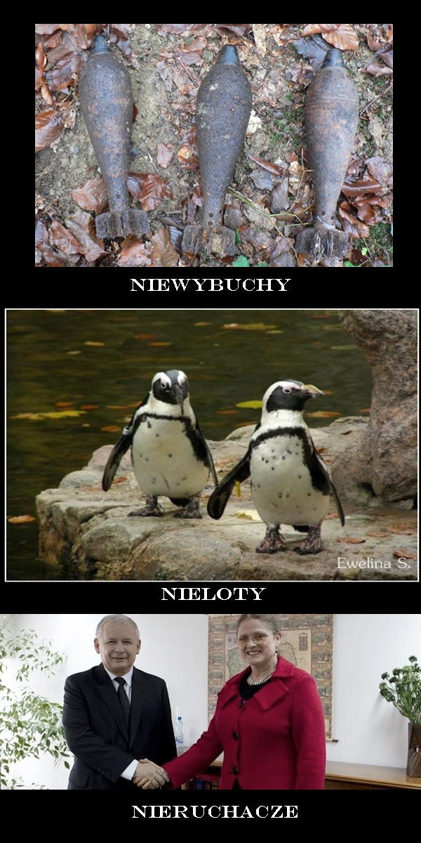 nie...