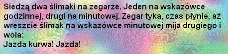 Ostra jazda