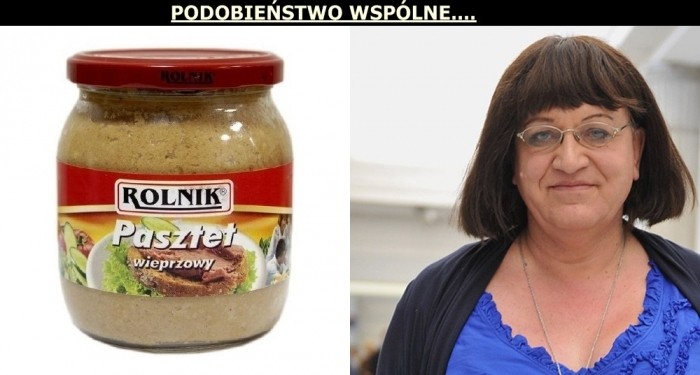 PODOBIEŃSTWO