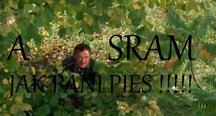 Co pan ?