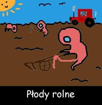 Płody rolne