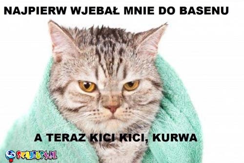 ja ci dam kici kici