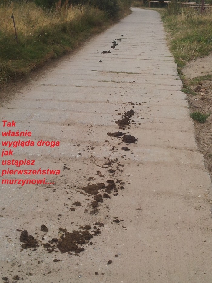 Ustąp pierwszeństwa w dzisiejszych czasach