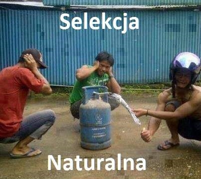 Darwin przewidział ich wymarcie