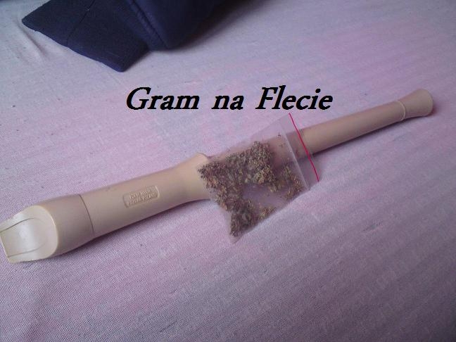 Gram na Flecie