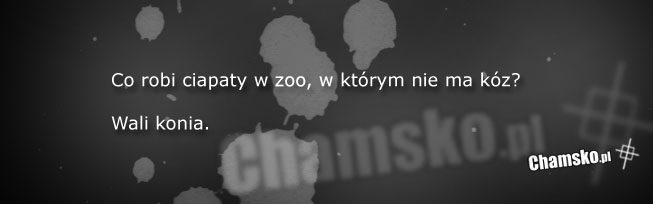 Muzułmanin w ZOO