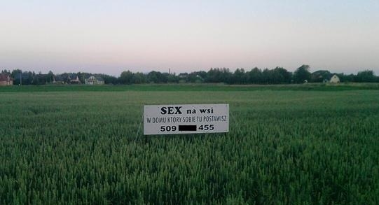 Reklama d?wigni? handlu
