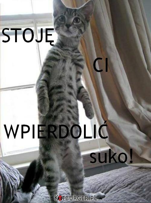 Stoj? ci wpierdoli?