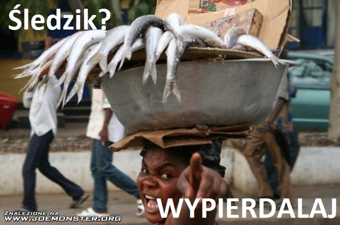 ?ledzik?