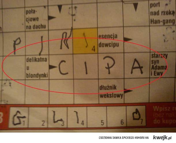 delikatne u blondynki xd