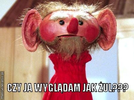 Czy ja wygl?dam jak ?ul???