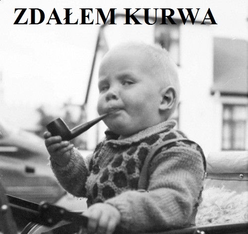 ZDANE !