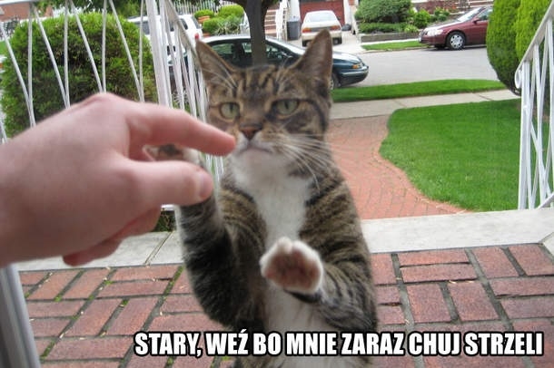 Stary
