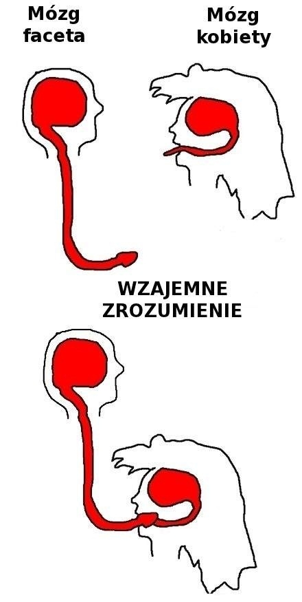 Wzajemne zrozumienie