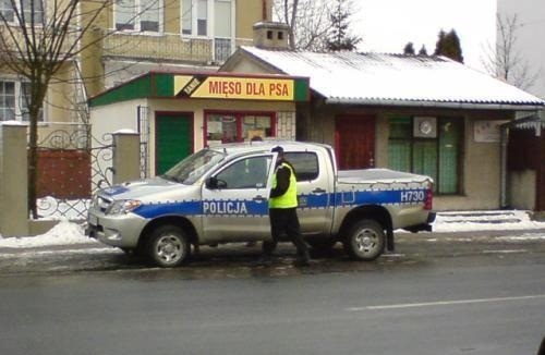 Głodne psiska