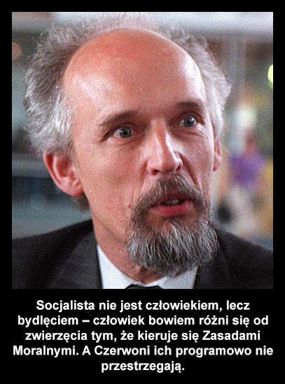 Korwin