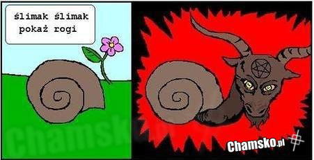 Ślimak