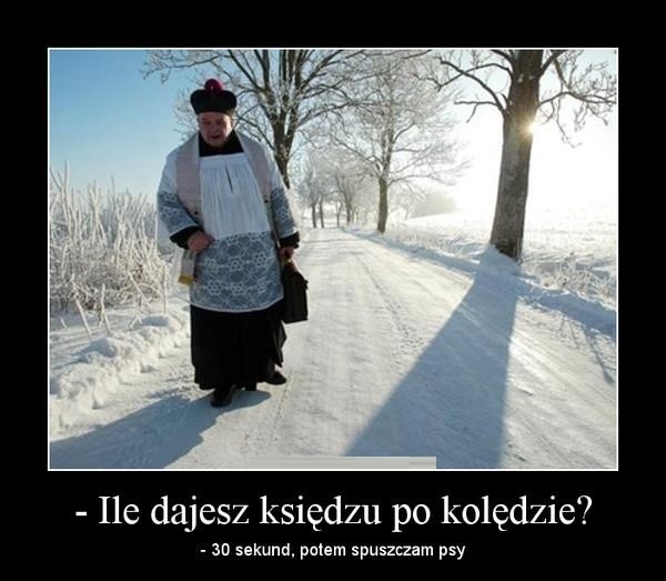 Ile dajesz?