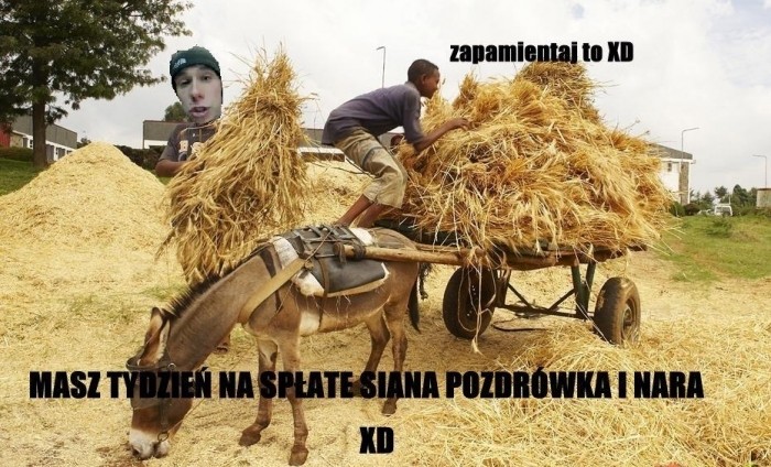 siano