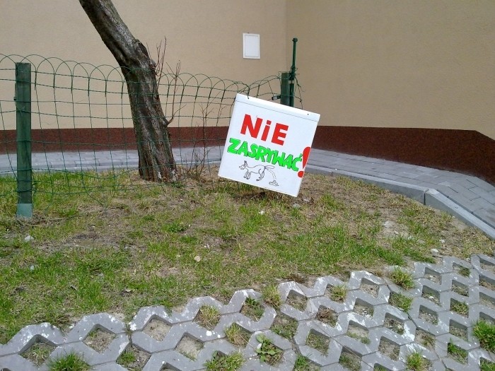 Nie zasrywa?