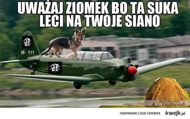 Uwa?aj ziomekp