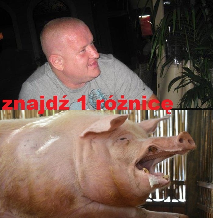 Znajdź różnicę