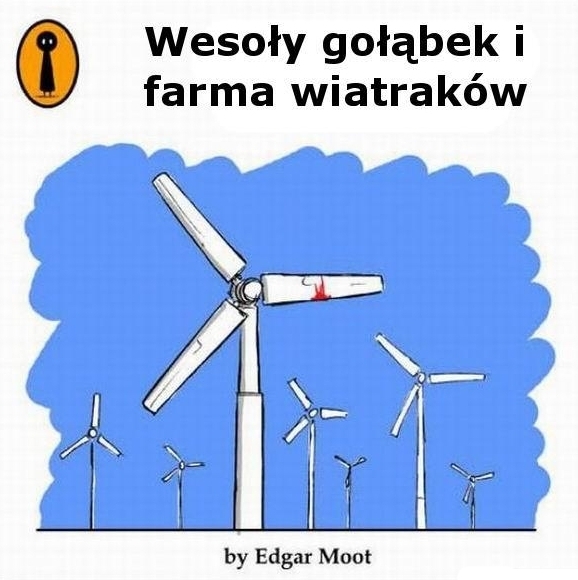 weso?y go??bek