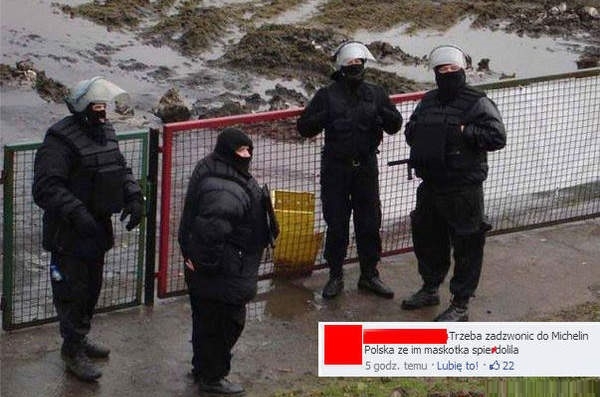 Maskotka na wolności