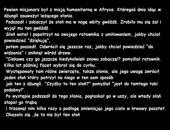 Słoń