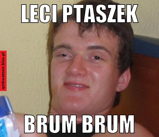 leci ptaszek brum brum