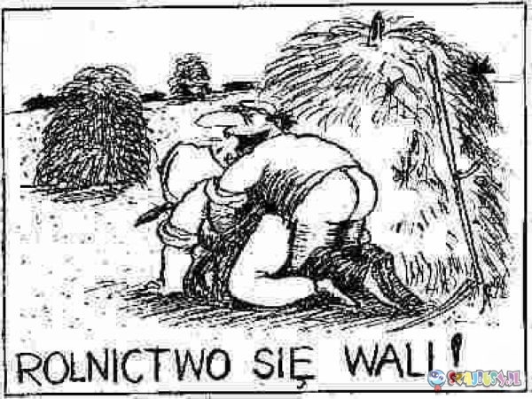 Rolnictwo się wali