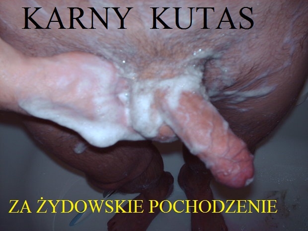 Karny kutas