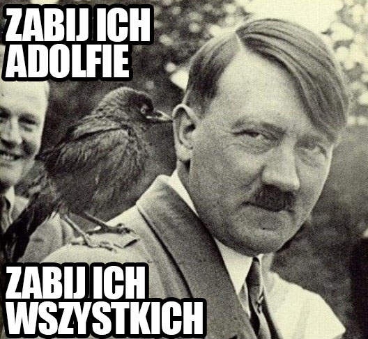 Prowokator
