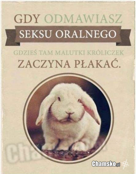 zawsze gdy odmawiasz sexu oralnego