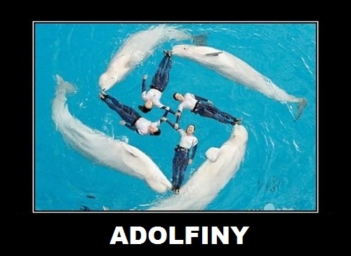 Adolfiny