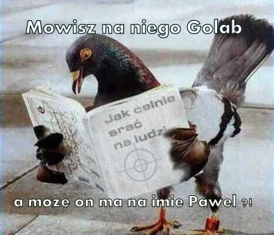 Go??b