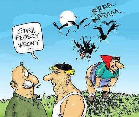 Strach na wrony