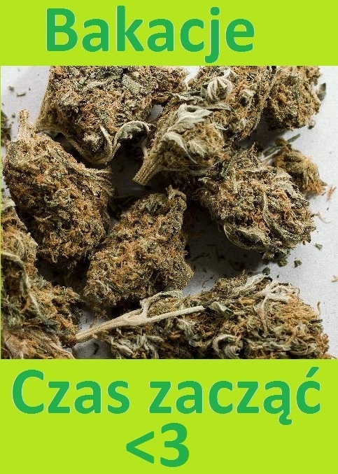 Bakacje
